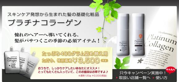 ザ・キッド プラチナコラーゲン事務局