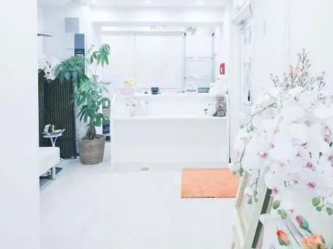 ミネルバクリニック