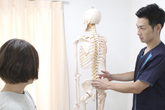 本蓮沼りかばー鍼灸整骨院