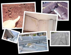 火災保険で屋根修理の無料診断 住宅調査保険申請協会