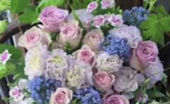 シュマン ヴェール